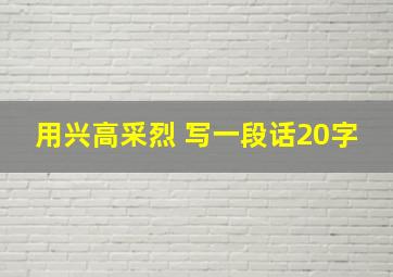 用兴高采烈 写一段话20字